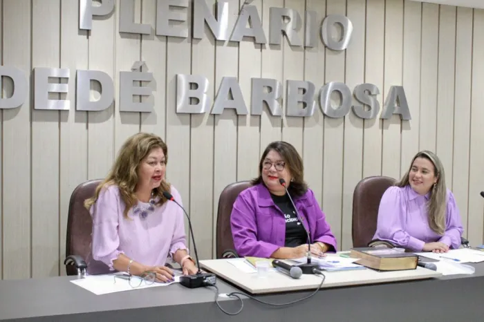 Sempi participa de audiência sobre políticas de defesa de mulheres, crianças e adolescentes em Altos