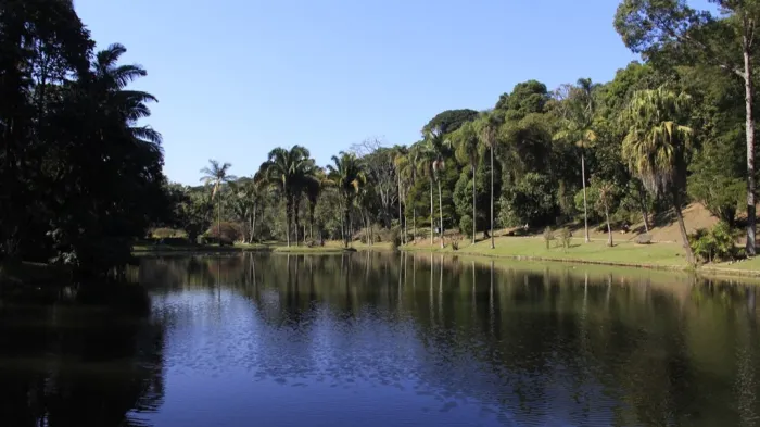 Projeto do Governo de SP registra mais de 24 mil observações de animais silvestres no Parque Estadual Fontes do Ipiranga