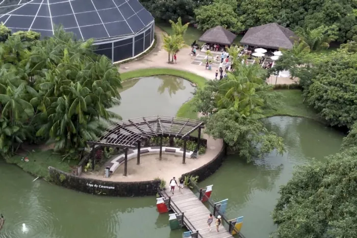 Foto: Ascom Pará 2000