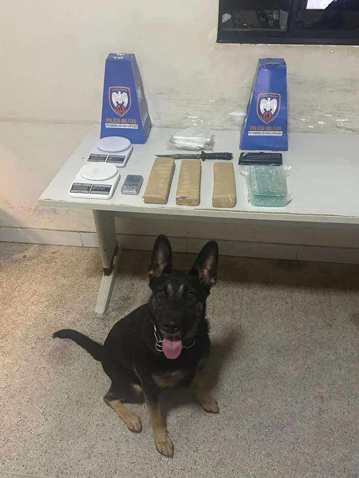 Foto: Reprodução/Polícia Militar - ES