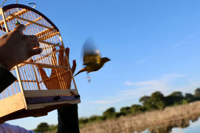 Foto: Matheus Lemos/Sema