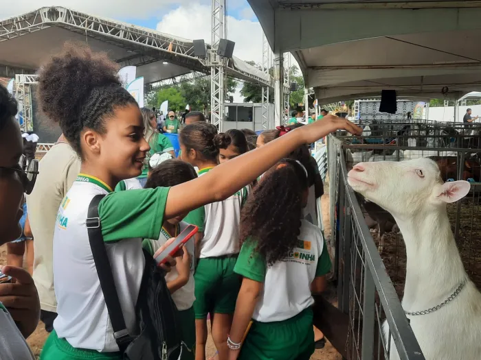 Com apoio do Governo da Paraíba, programação da 1ª Expo Alagoinha prossegue até este domingo