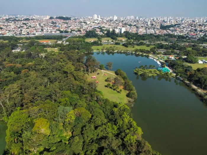 Parques Estaduais de SP promovem várias ações na Semana do Meio Ambiente 2025; confira