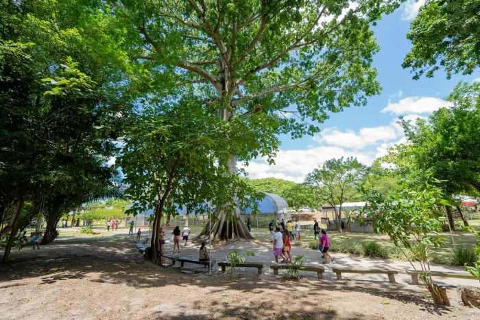 Semana do Meio Ambiente começa na segunda-feira com atividades educativas e sustentáveis