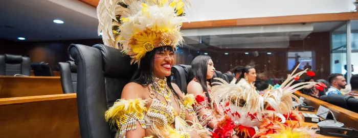 A solenidade contou com a presença de brincantes e representantes dos grupos culturais, em homenagem à sua contribuição para a cultura maranhense