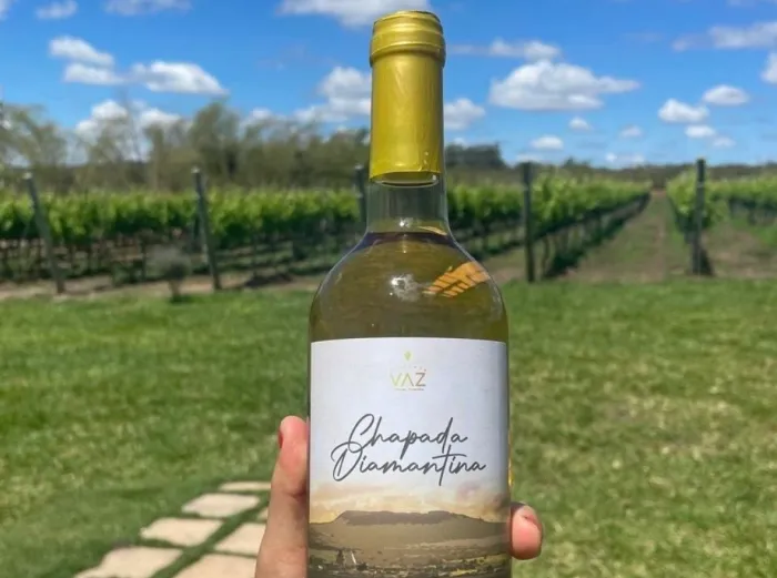 Foto: Divulgação/Ascom Irdeb