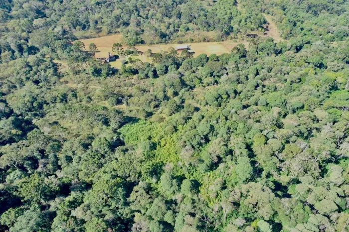 Parque Estadual das Araucárias completa 22 anos de preservação e história