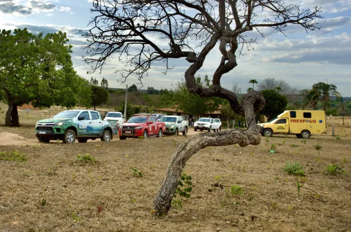 Foto: Matheus Lemos-Ascom/Sema