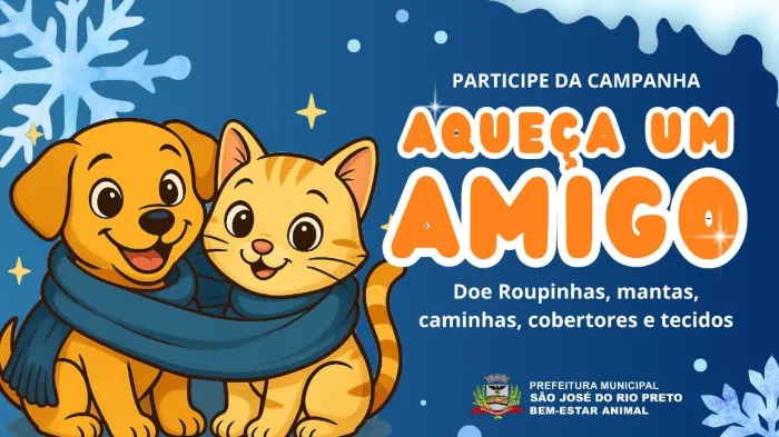 Bem-Estar Animal lança campanha para proteger cães e gatos do frio
