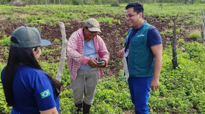 Emdagro realiza diagnóstico do potencial do umbuzeiro em Canindé e aponta geração de renda no semiárido