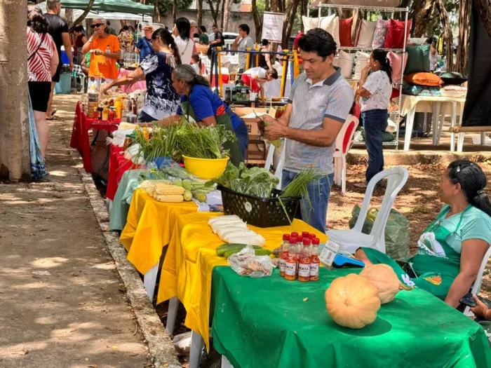Quitanda da Agricultura Familiar abre programação de feiras no mês das festas juninas