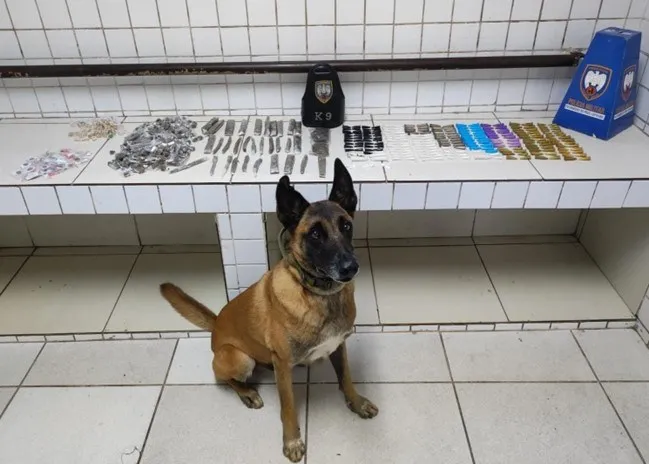 Foto: Reprodução/Polícia Militar - ES