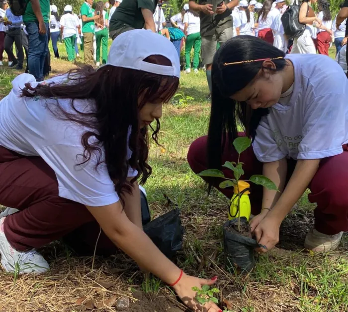 Plantio de 500 mudas de ipê marca início da Semana do Meio Ambiente em Teresina