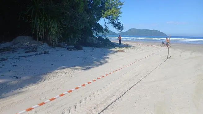 Foto: Reprodução/Prefeitura de São Sebastião - SP