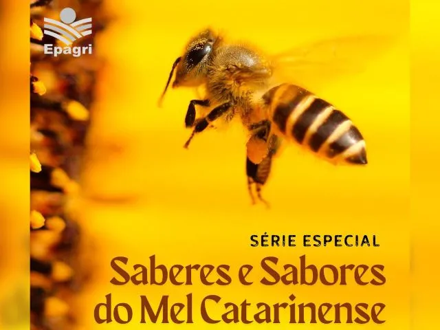Foto: Reprodução/Secom SC