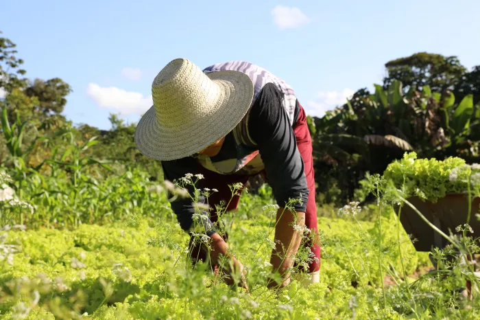 Foto: Ítalo Oliveira- Ascom/SDR