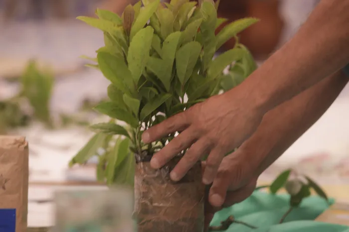 Foto: Reprodução/Secom Paraná