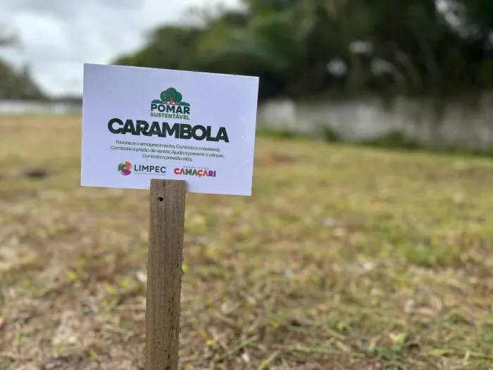 Limpec encerra Semana do Meio Ambiente com plantio de mudas no Pomar Sustentável
