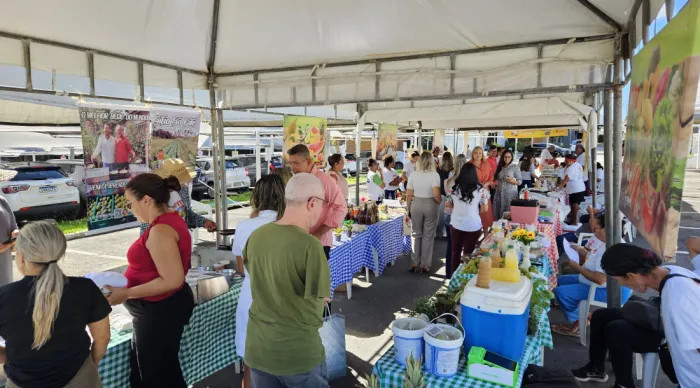 Feira da Agricultura Familiar Itinerante promove integração entre produtores e servidores públicos
