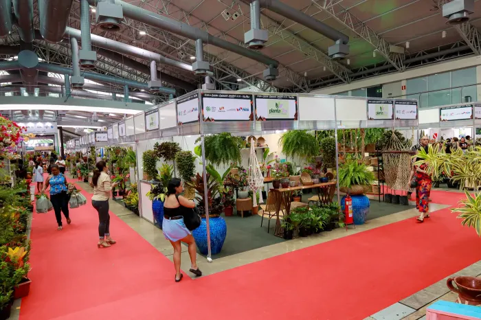 Foto: Alex Ribeiro / Ag. Pará