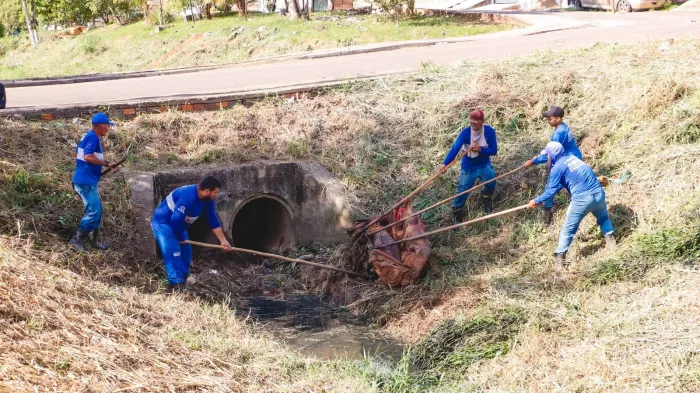 Dia Mundial do Meio Ambiente: Prefeitura de Rio Branco e Governo do Estado realizam ação de limpeza
