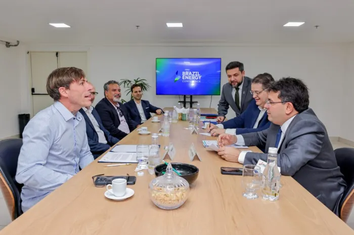 Rafael Fonteles firma parcerias com empresas para desenvolvimento da cadeia produtiva de energia limpa no Piauí