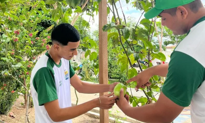 Em Castelo do Piauí, estudantes da rede estadual transformam escola em espaço de sustentabilidade e inovação