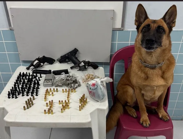Militares da Força Tática da 17ª Cia Independente apreendem armas de fogo