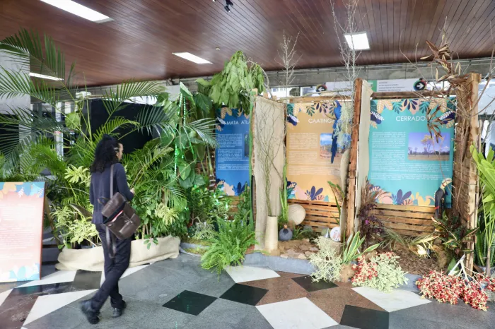 Foto: Divulgação/Ascom Sema