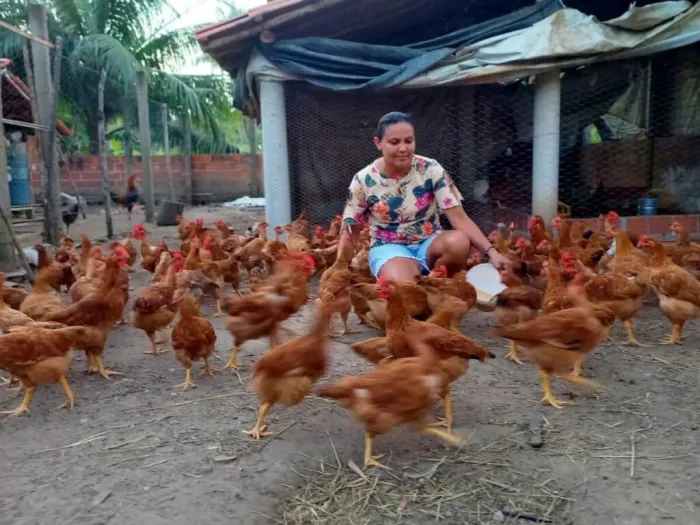 Programa Fomento Rural muda a vida de agricultores familiares de Teresina