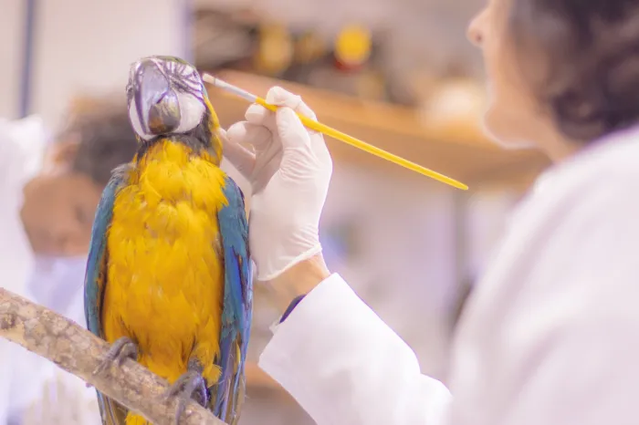 Foto: Jéssica Natal/UEPG