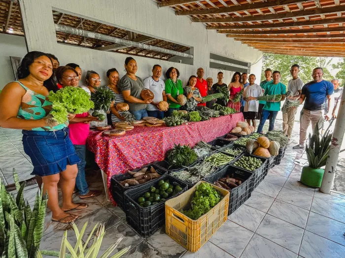 Entrega de alimentos do PROCAF beneficia 100 famílias em Bela Vista do Maranhão