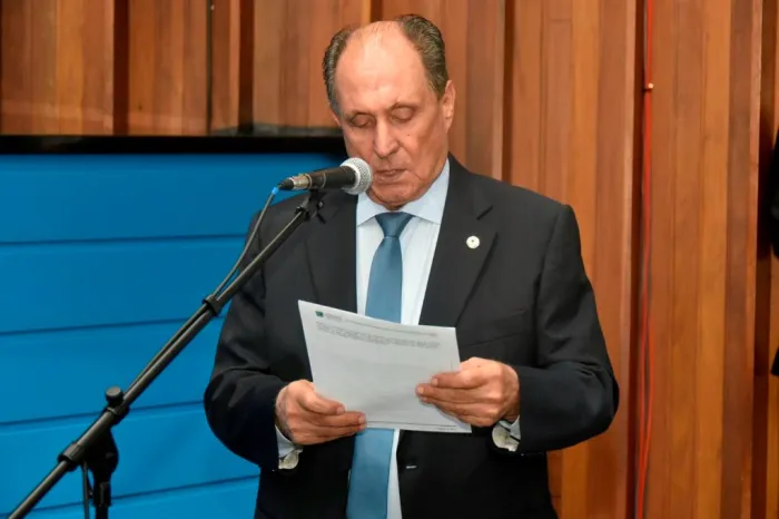 Matéria veda plantio de árvore letal a beija-flores, abelhas e pequenos insetos