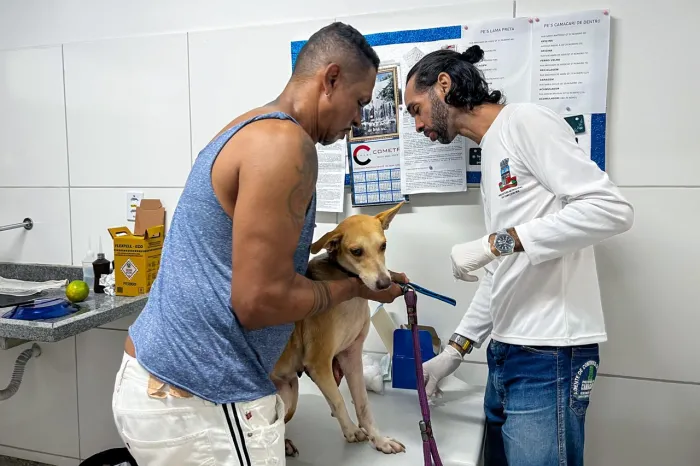 Testagem para leishmaniose em cães é descentralizada em Camaçari