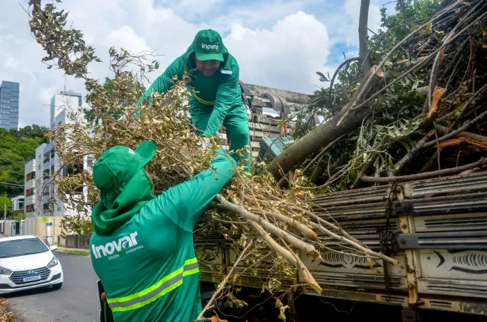 Coleta de resíduos de poda de árvores atende demandas de moradores de 15 bairros