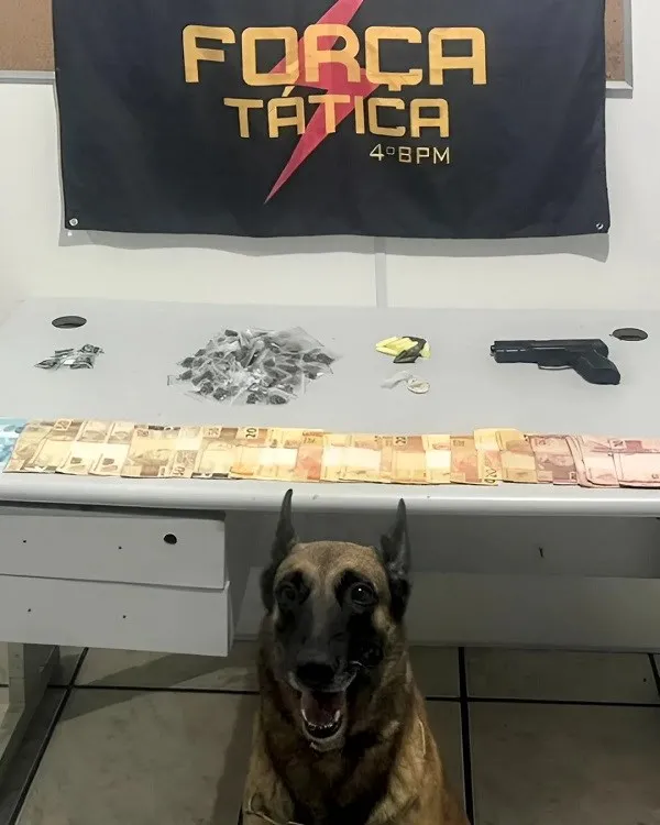 Foto: Reprodução/Polícia Militar - ES