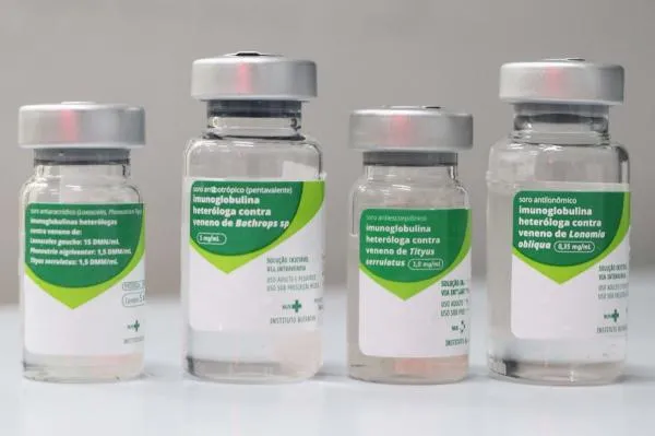 Sorriso: vereadora pede fornecimento de soro antipeçonhento para a UPA