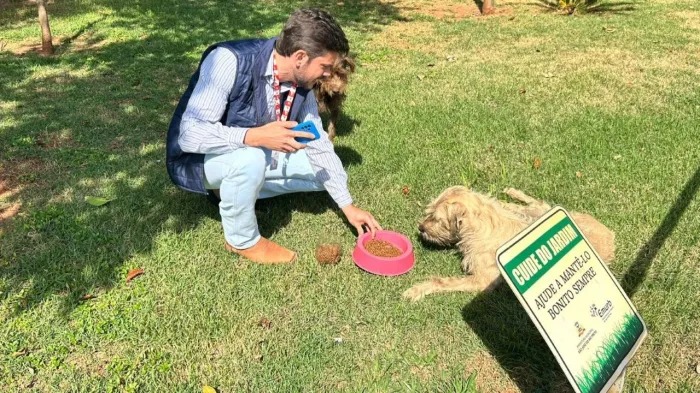 Bem-estar Animal apoia Operações Centro Seguro e Noite sem Frio