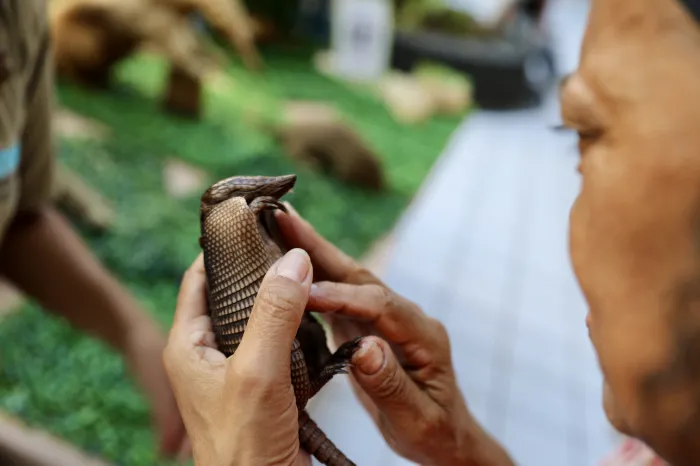 Foto: Matheus Lemos - Ascom/Sema