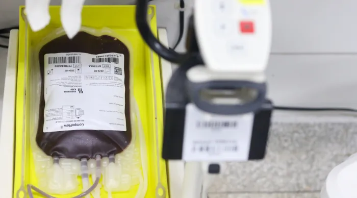Hemose promove confraternização junina para celebrar Dia Mundial do Doador de Sangue