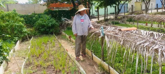 Badespi renova e amplia apoio a horticultores da Vila Irmã Dulce, em Teresina
