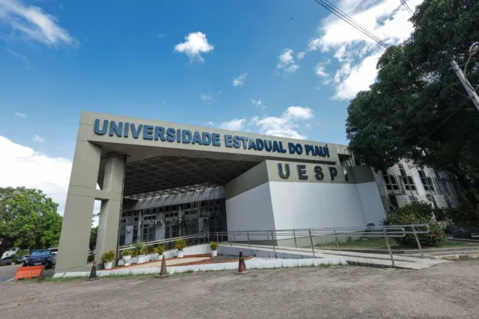 Uespi abre seletivo para portadores de diploma em cursos de licenciatura a distância