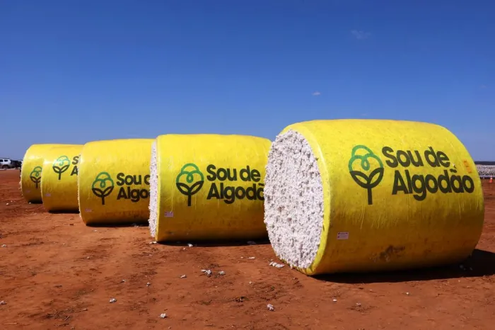 Foto: Mateus Pereira/GOVBA