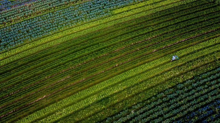 Governador de Santa Catarina alerta para impactos na economia com taxação sobre letras de crédito