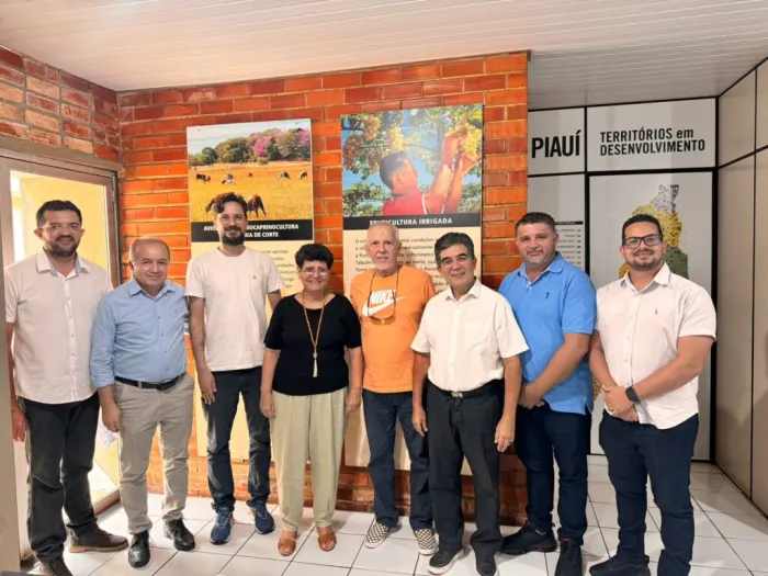 Foto: Reprodução/Secom Piauí