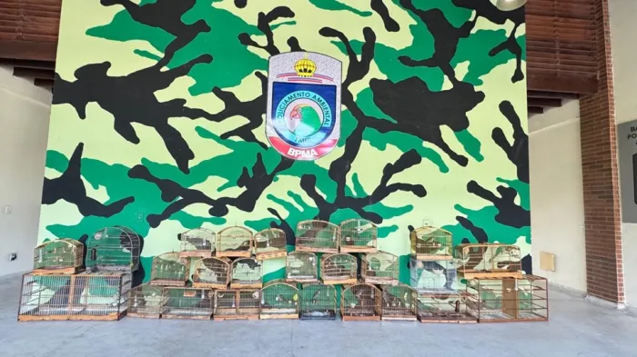 Foto: Reprodução/Polícia Militar - ES