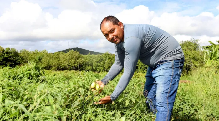 Irrigação pública estadual incentiva geração de renda nos programas de aquisição de alimentos