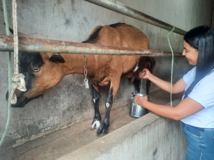 Mulheres conquistam protagonismo no agro no município de Livramento com apoio da Sedap-PB