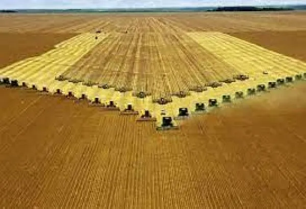 Câmara institui título 