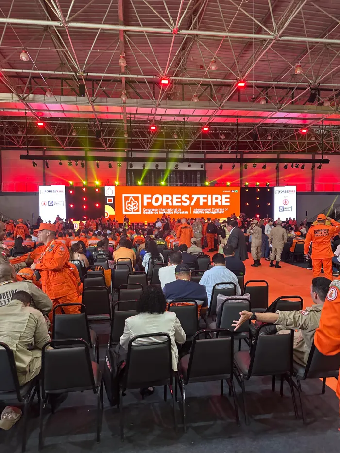 Maranhão participa de congresso internacional sobre incêndios florestais